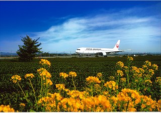 第12回日本航空賞「早春のタキシング」中川　義昭