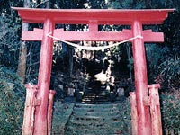 高座神社の社叢写真1