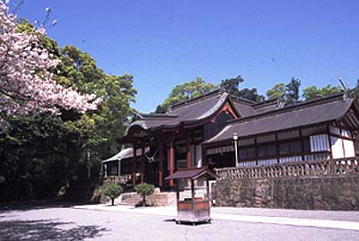 鹿児島神宮本殿及び拝殿・勅使殿・摂社四所神社本殿写真