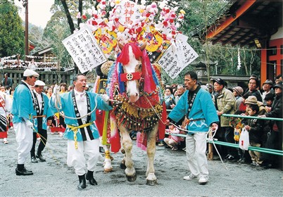 十八日の馬写真