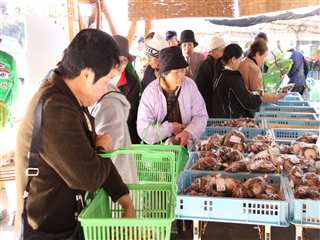 横川物産館「よいやんせ」秋の感謝祭2