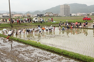 ふれあい田植えの画像2