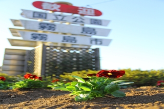 霧島温泉駅花いっぱい美化活動の画像3