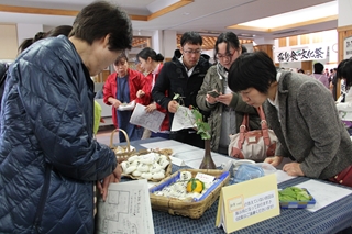 100皿家庭料理大集合