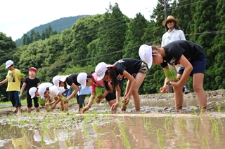 川原小学校の児童の田植え3