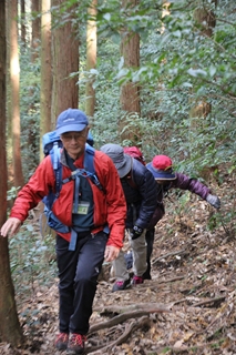 森で過ごす癒やしの休日in霧島5