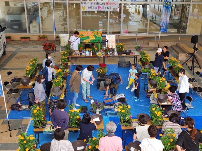 推奨花の花育て教室4