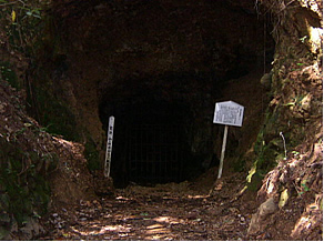 山ケ野金山の画像