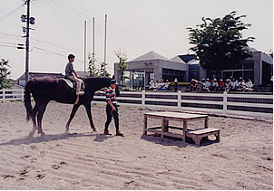 霧島高原乗馬クラブの画像