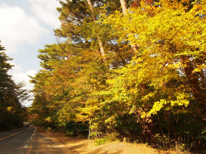 県道1号線-1