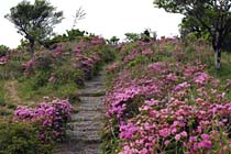 九州自然遊歩道・霧島連山写真3