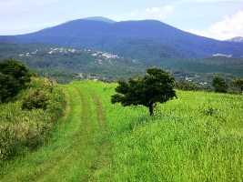 柳ヶ平散策路の画像