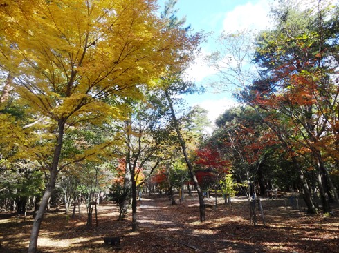 手洗散策路の画像